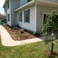 New tree and landscaping along the garage