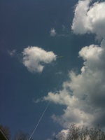 04/14/10 - High Flying Kite