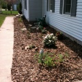 05/24/10 - New Landscaping