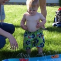 Walker checking out the pool