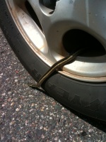 Snake coming out of a tire