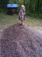 Queen of the rock pile