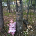 Kaitlyn with tree that fell today
