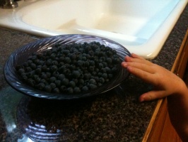 Kaitlyn sneaking blueberries