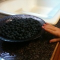 Kaitlyn sneaking blueberries