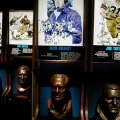 Bud Grant (Pro Football Hall of Fame)