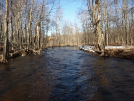Looking down the Carp River