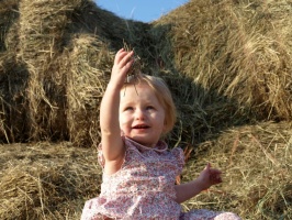 Letting the hay go