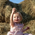 Letting the hay go