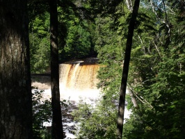 Tahquamenon Falls through the trees