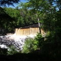 Another picture of Tahquamenon Falls through the trees