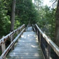 Wooden walkway