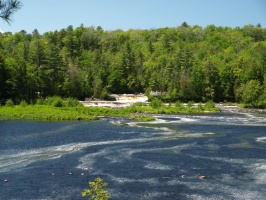 Geese and the Lower Tahquamenon Falls