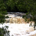 Lower Tahquamenon Falls through the trees