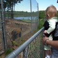 Kaitlyn checking out the Bear at Oswald's Bear Ranch