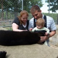 Kaitlyn petting a bear cub at Oswald's Bear Ranch