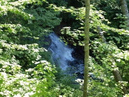 Sable Falls through the trees