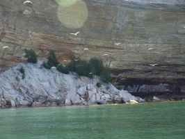 Gull Rookery at Pictured Rocks National Lakeshore