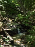 Small stream on the way to Wagner Falls