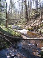 Small Stream to Laughing Whitefish River