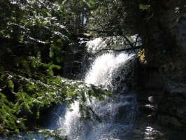 Top of the falls through the trees