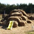 Climbing the hay hill