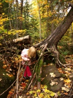 Kaitlyn climbing in the roots of a tree