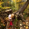 Kaitlyn climbing in the roots of a tree