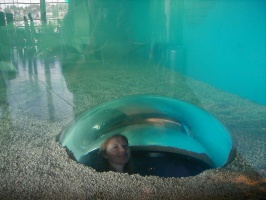 Kari in a Bubble