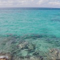 Clear water of the Gulf of Mexico