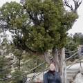 Kari in front of Tree
