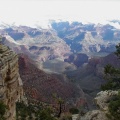 Tress bordering the view of the Grand Canyon