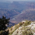 Colorado River in the Background