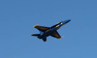 Almost flew overhead