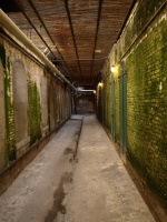 Underground pathway