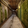 Underground pathway