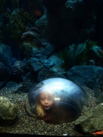 Kaitlyn in a aquarium