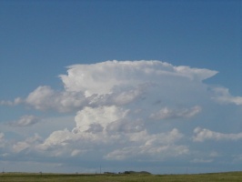 Large developing thunderstorm about 50 miles north from where the picture was taken. Bowman, ND airport.