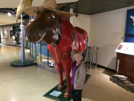 Moose in the CN Tower