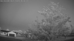 Web Cam Image - Fri, 06/12/2026 4:28am CDT