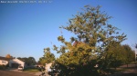 Web Cam Image - Sun, 09/07/2025 5:16am CDT