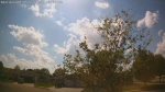 Web Cam Image - Sat, 05/23/2026 3:58pm CDT