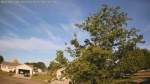 Web Cam Image - Tue, 06/16/2026 6:46am CDT