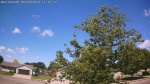 Web Cam Image - Sat, 06/20/2026 10:31am CDT