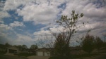 Web Cam Image - Fri, 05/09/2025 3:37am CDT