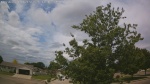Web Cam Image - Sat, 06/13/2026 10:38am CDT