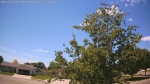 Web Cam Image - Sun, 06/14/2026 1:01pm CDT