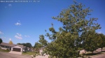 Web Cam Image - Fri, 06/19/2026 10:04am CDT