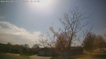 Web Cam Image - Mon, 05/11/2026 3:56pm CDT