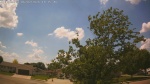 Web Cam Image - Tue, 06/02/2026 2:04pm CDT
